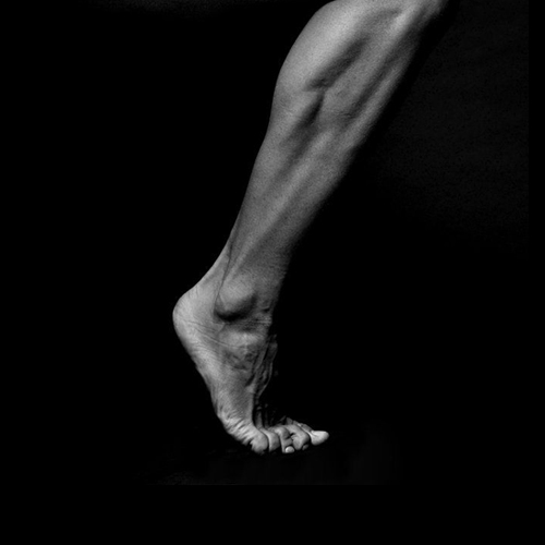 محصولات تقویت پا